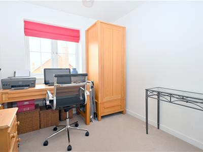 Picture 13